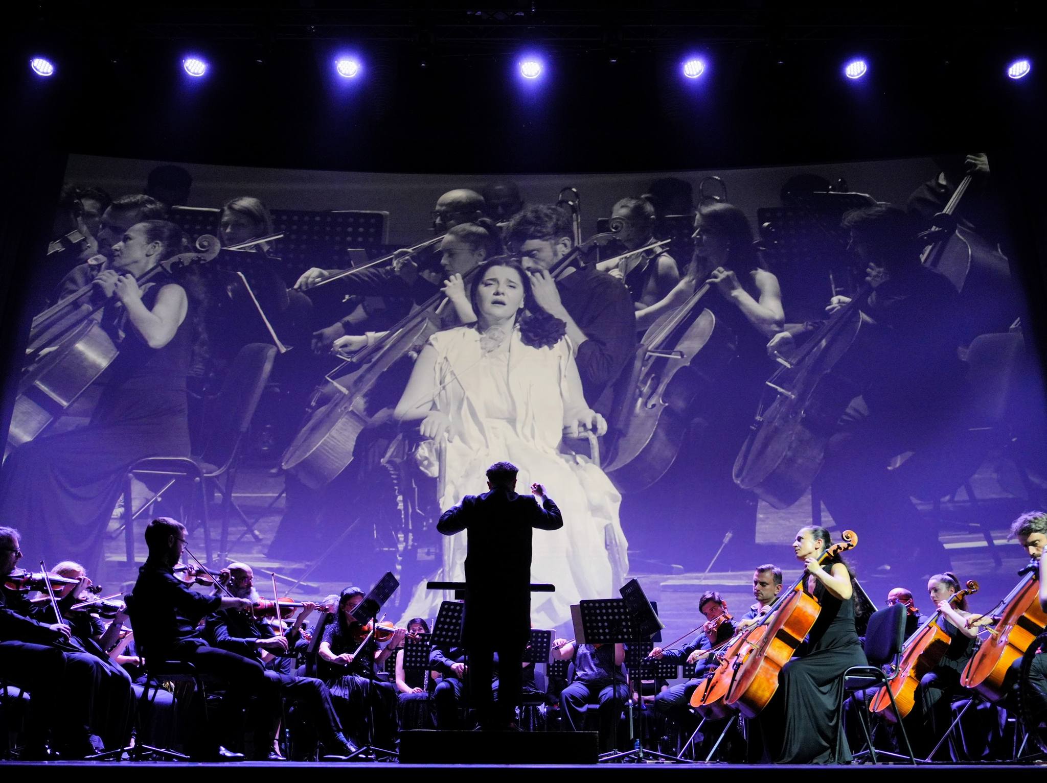 486534434_1089315416559167_6441199256853911238_n