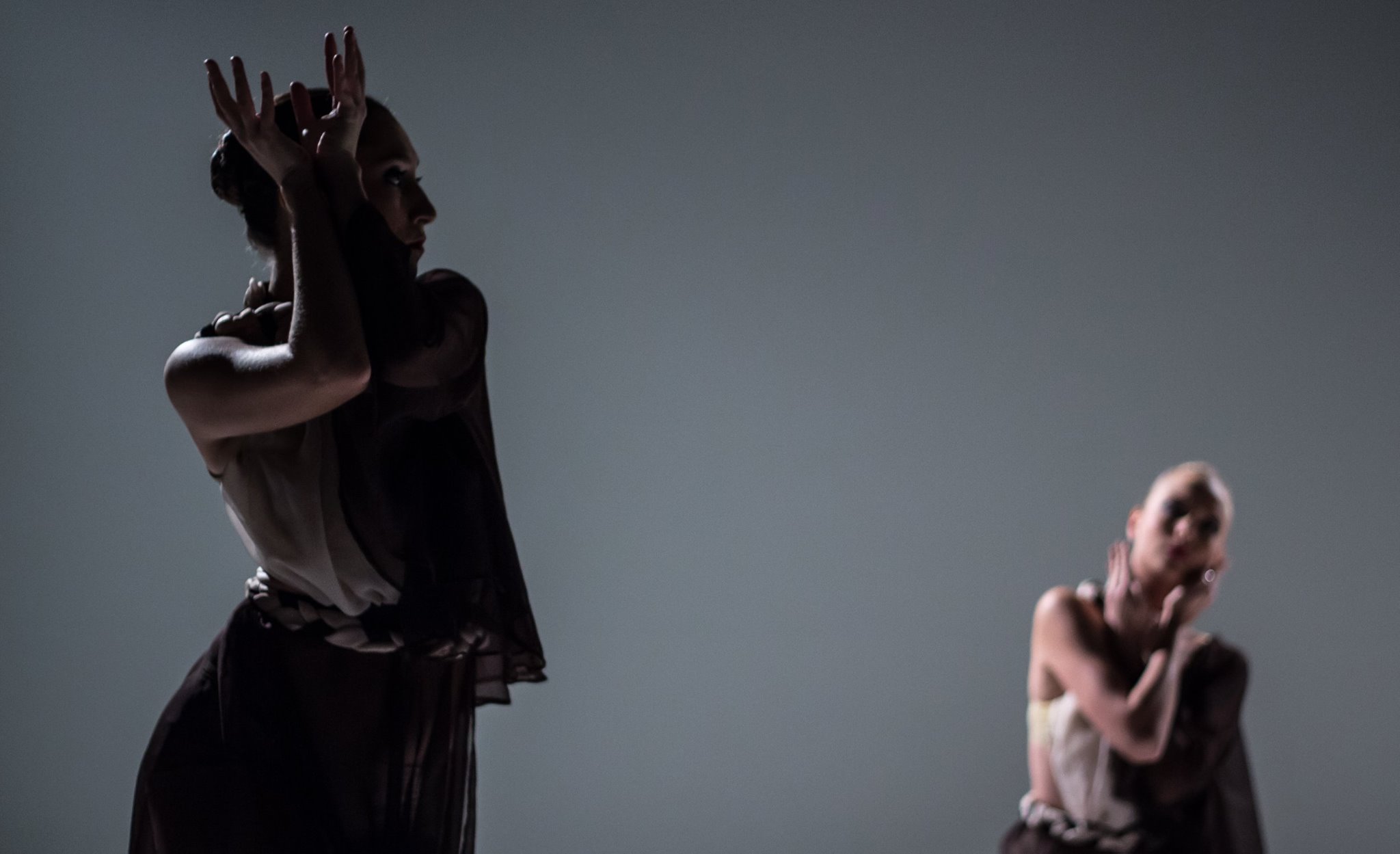 464841710_8930744156976115_1815214668077272410_n